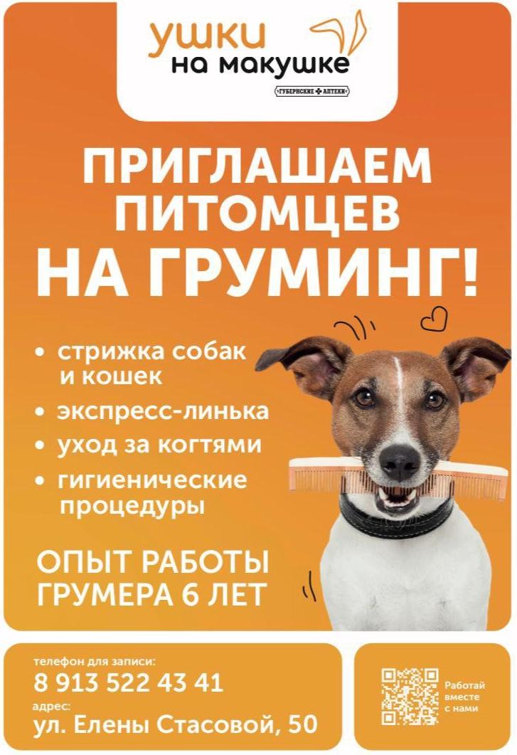 Дополнить образ питомца стрижкой – легко!