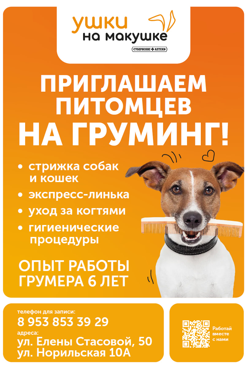 Дополнить образ питомца стрижкой – легко! Дополнить образ питомца стрижкой – легко!