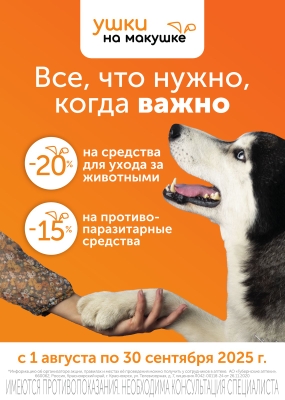 Все, что нужно, когда важно!